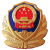 公安备案